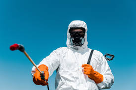 Best Bee and Wasp Removal  in Monte Sereno, CA